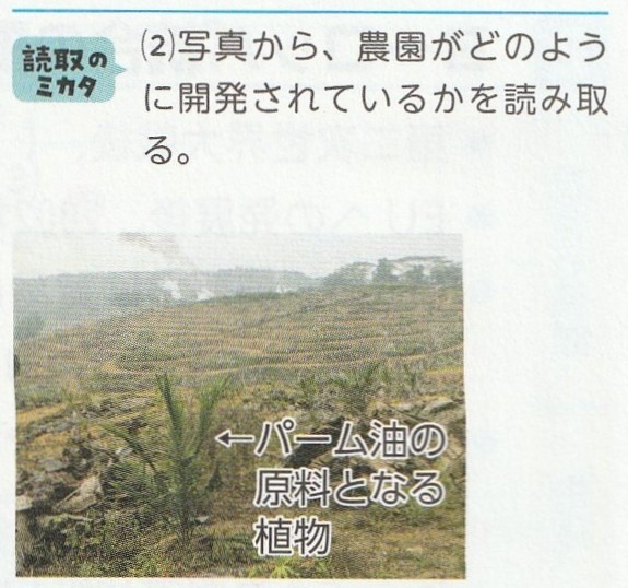 森林開発が進む東南アジアの写真