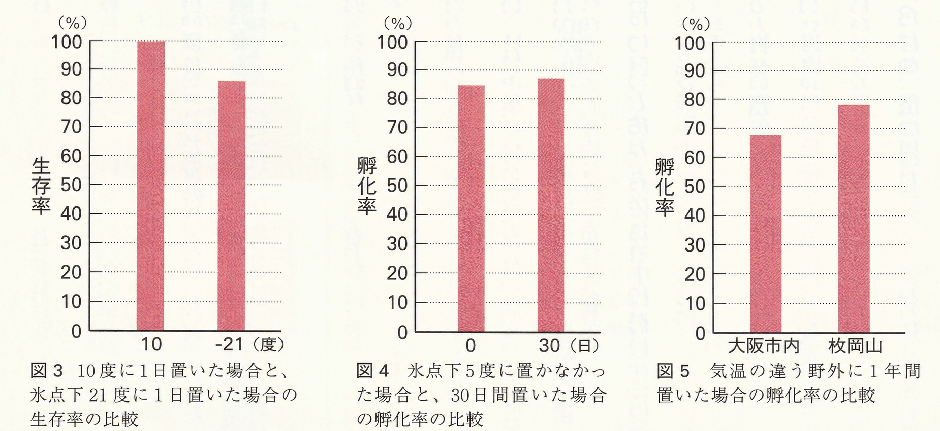 図2 クマゼミの一生