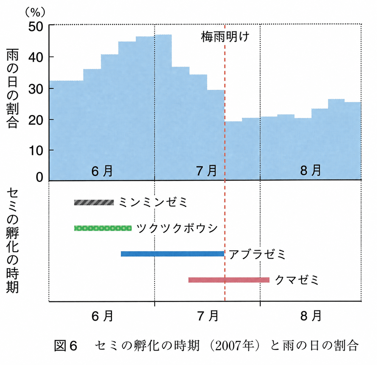 図6 セミの孵化の時期と雨の日の割合